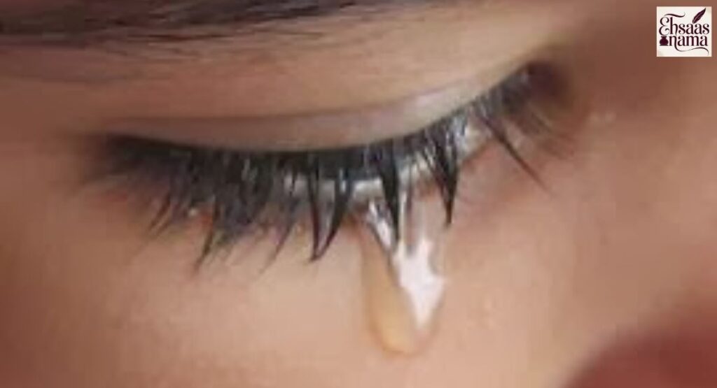 Dil Bhar Jane Ke Ehsaas Ki Dil Shayari in Hindi expressing emotional fullness