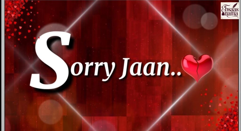 Heartfelt Sorry Shayari In Hindi expressing deep emotions and apologies