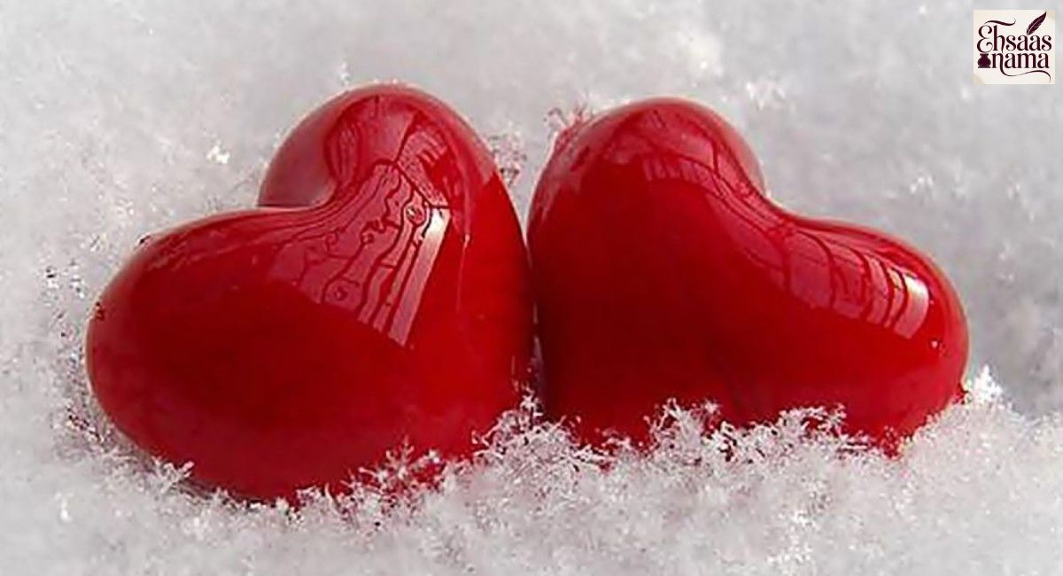 Dil Shayari in Hindi