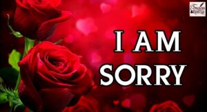 Sorry Shayari In Hindi