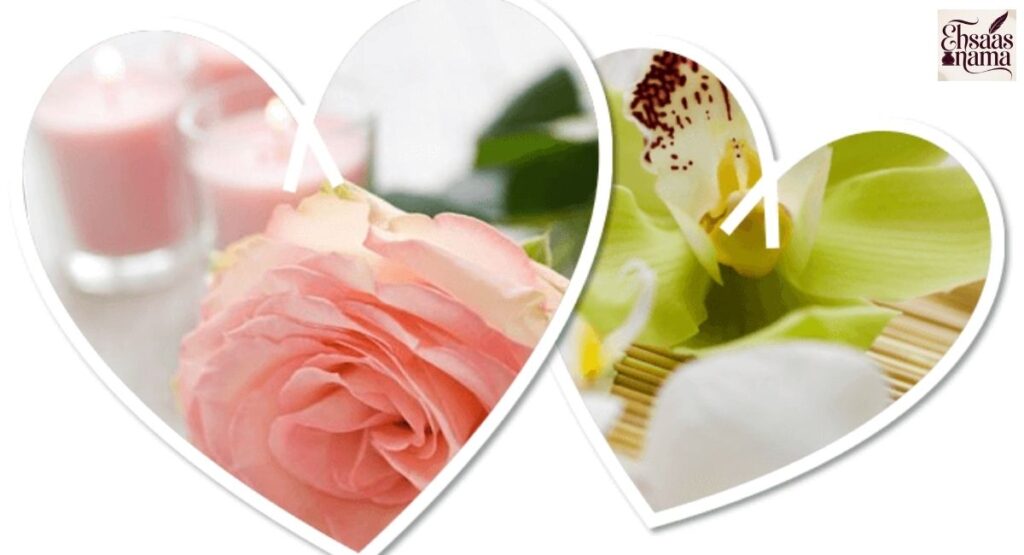 True Love Miss You Shayari jo dil ko choo jaye