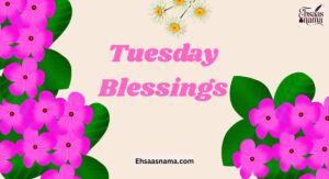 Tuesday Blessings