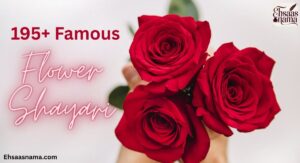 Flower Shayari