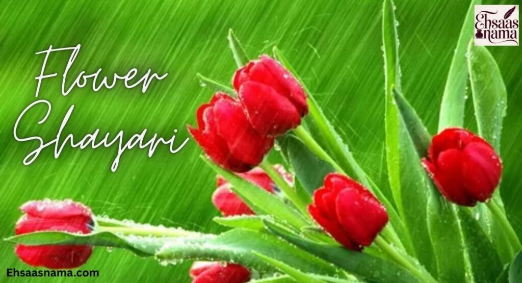 Flower Shayari