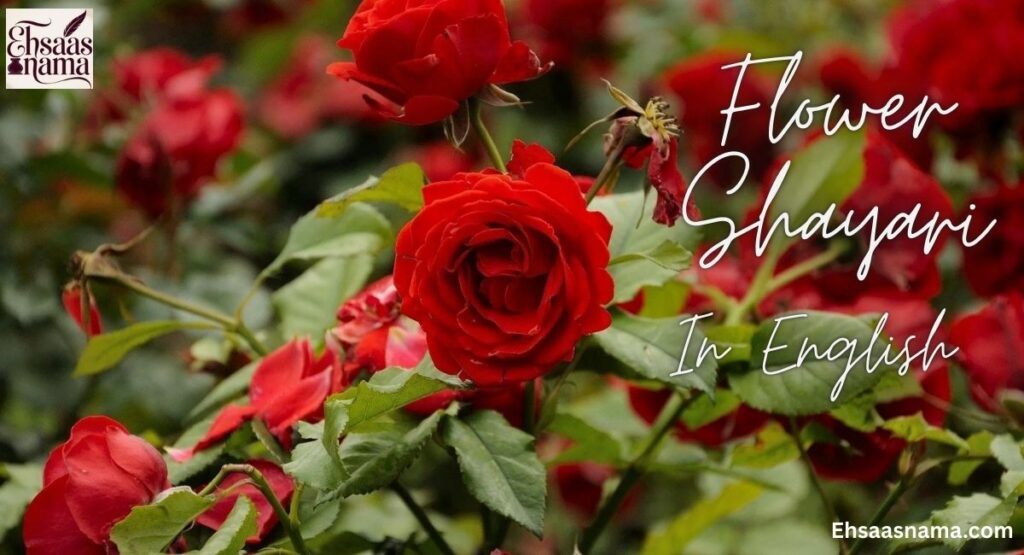 Flower Shayari