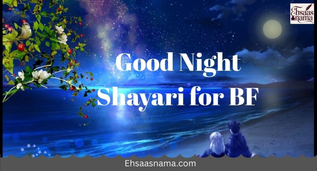Good Night Shayari