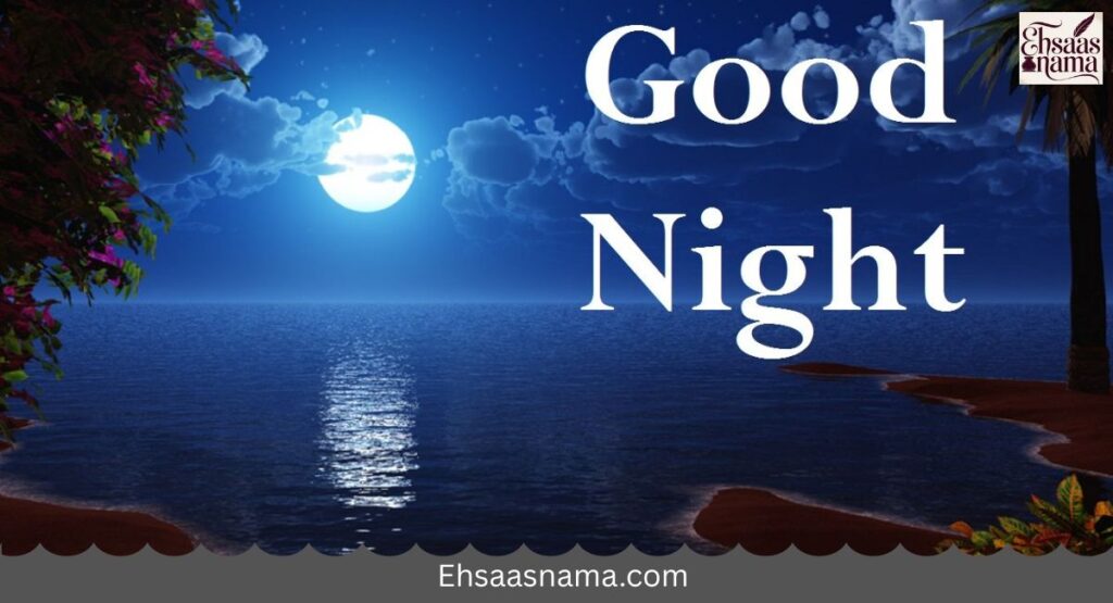 Good Night Shayari