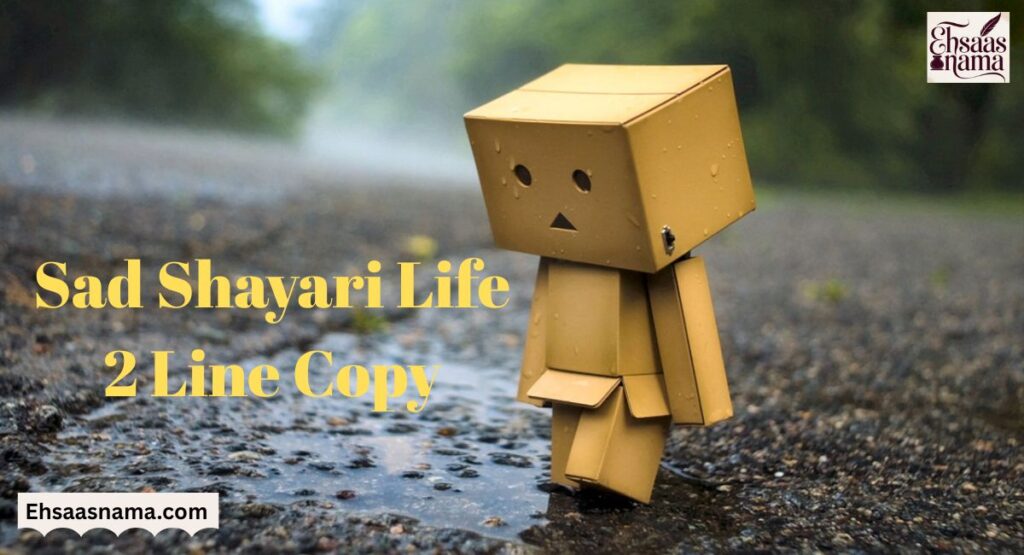 Sad Shayari Life 2 Line 