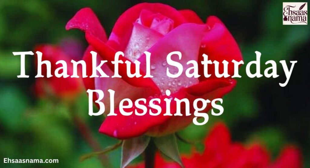 Saturday Blessings
