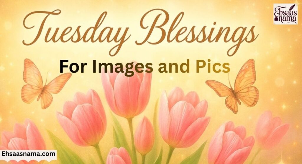 Tuesday Blessings