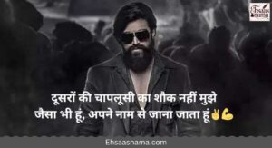 Attitude Status in Hindi