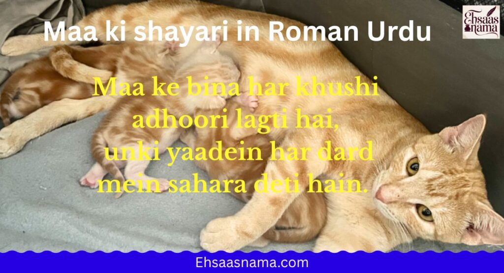 Heart Touching Maa Shayari