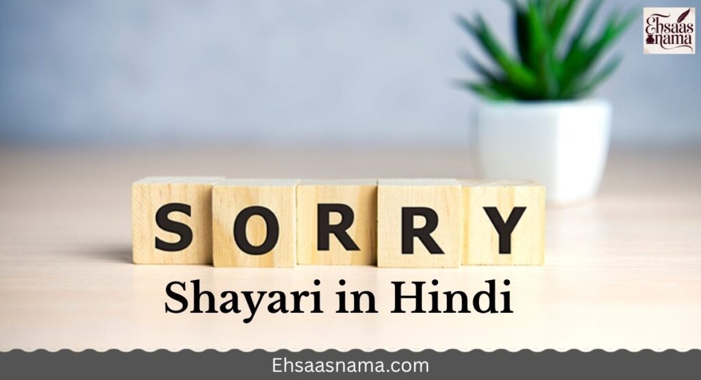 Sorry Shayari