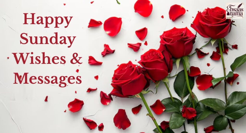 Happy Sunday Wishes & Messages