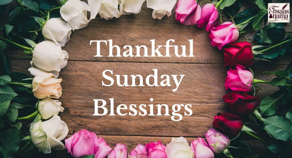 Thankful Sunday Blessings