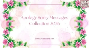 Apology / sorry messages